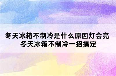 冬天冰箱不制冷是什么原因灯会亮 冬天冰箱不制冷一招搞定